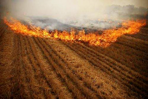 熊良虎赴京调查德国迪芬巴赫公司、ESATPOINT GLOBAL公司生态EVO厅板材设备工艺