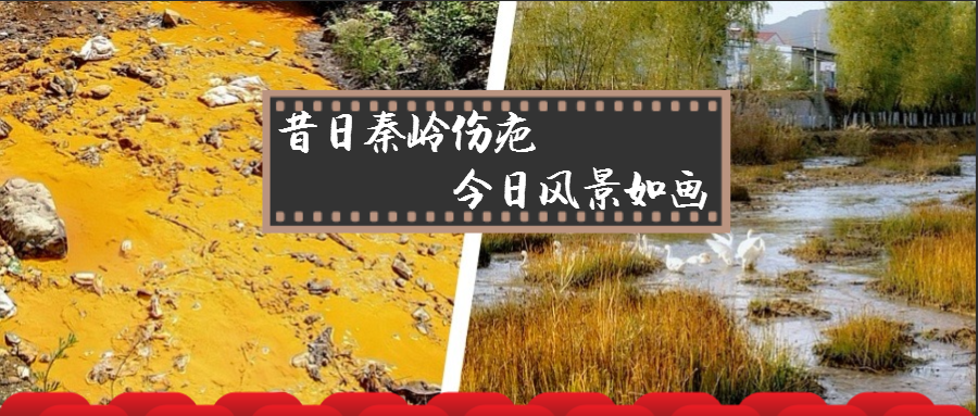 旧日秦岭伤疤 今日景致如画——陕西EVO厅集团黄龙河道域传染治理侧记