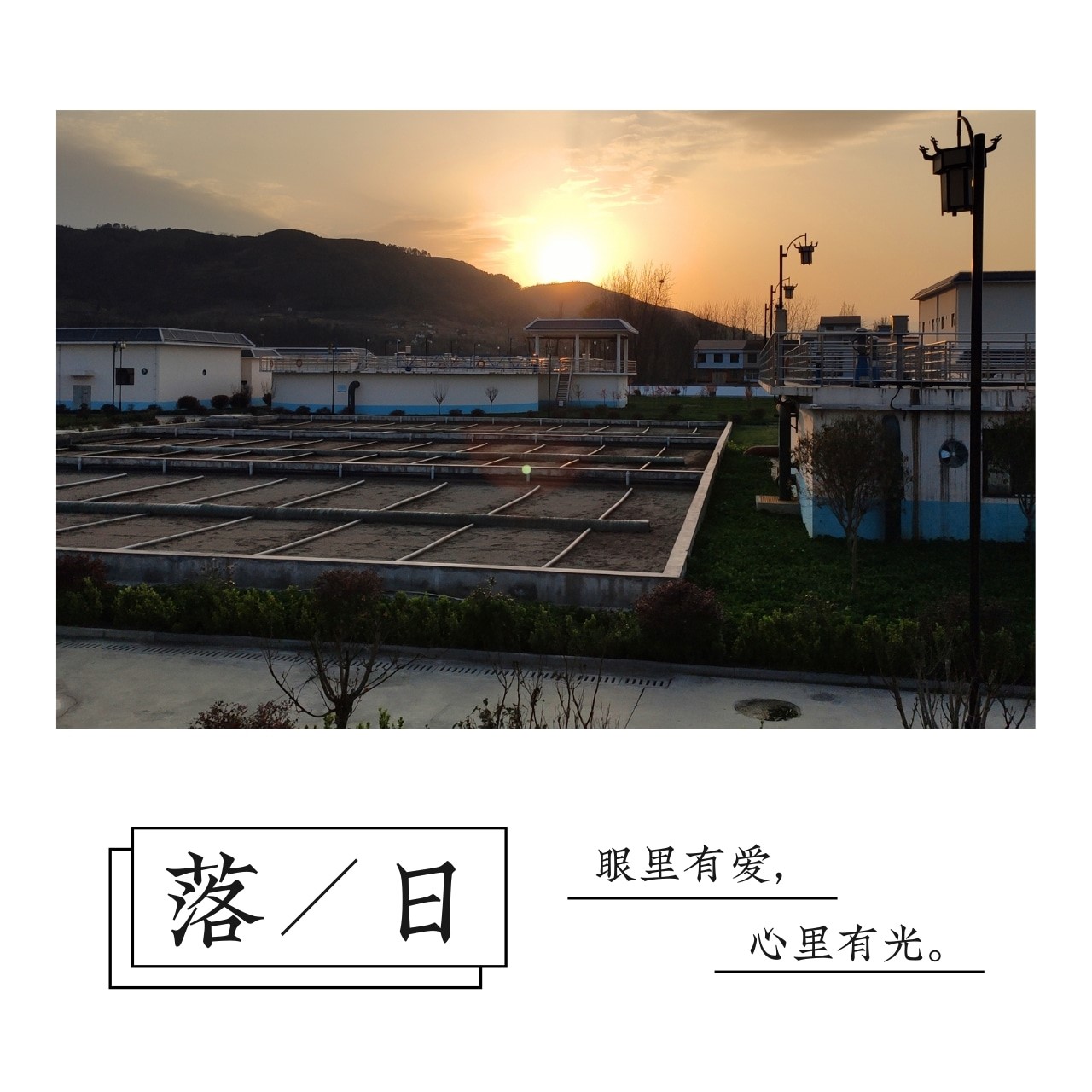 “绿满厂区春意浓”摄影文章征集活动部门文章展示（一）