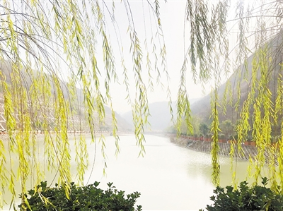 中国环境报：守护三秦大地绿水青山——陕西EVO厅集团成立以来，成为陕西传染防治的排头兵