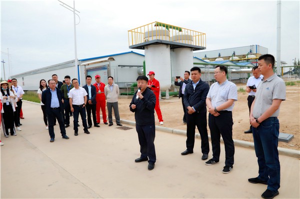 陕西EVO厅集团复工复产促增长项目观摩会议与会人员走进绿色能源公司油气公司水环境公司陕北片区项目