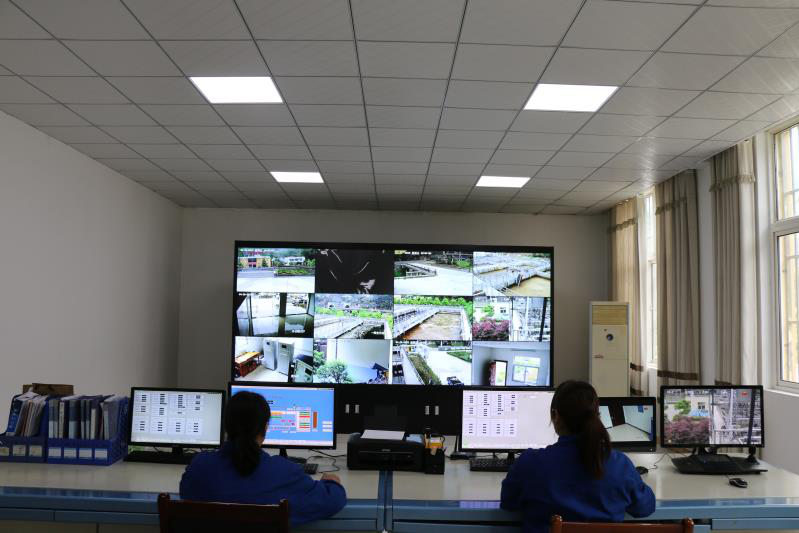 这个端午节，水环境人这么过（二）