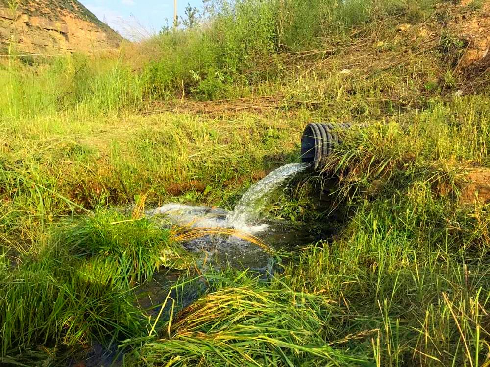 新华社｜添绿色、减排放——陕西EVO厅集团多产业助力陕西打赢传染防治攻坚战