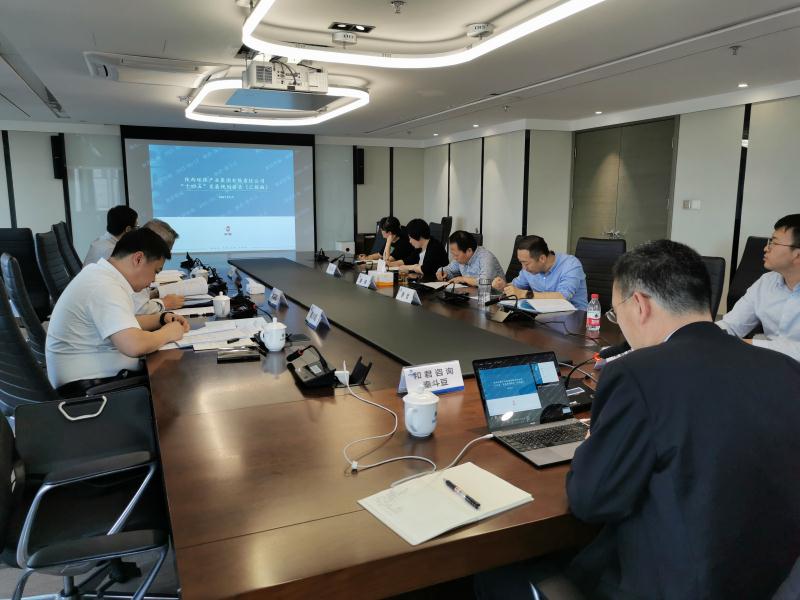 陕西EVO厅集团召开“十四五”发展规划专家评审座谈会